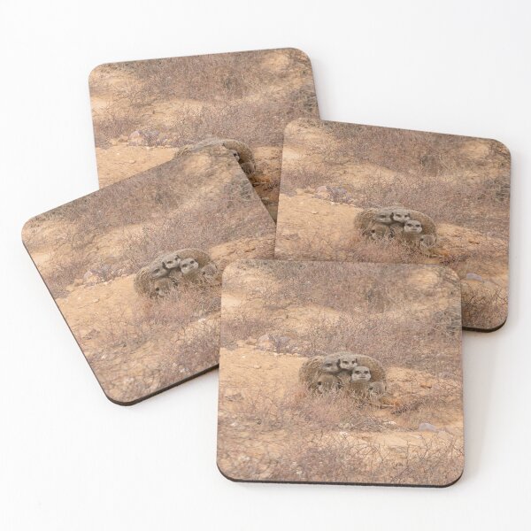 Item preview, Meerkats keeping warm together designed and sold by Photopat.