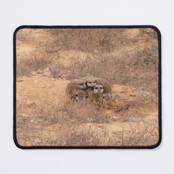 Item preview, Meerkats keeping warm together designed and sold by Photopat.