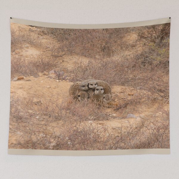 Item preview, Meerkats keeping warm together designed and sold by Photopat.