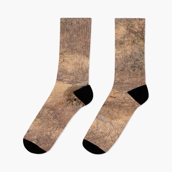 Item preview, Meerkats keeping warm together designed and sold by Photopat.
