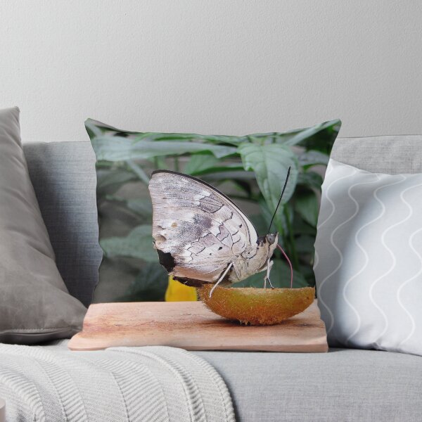 Item preview, Sipping Kiwi Nectar designed and sold by Sandra Fortier.