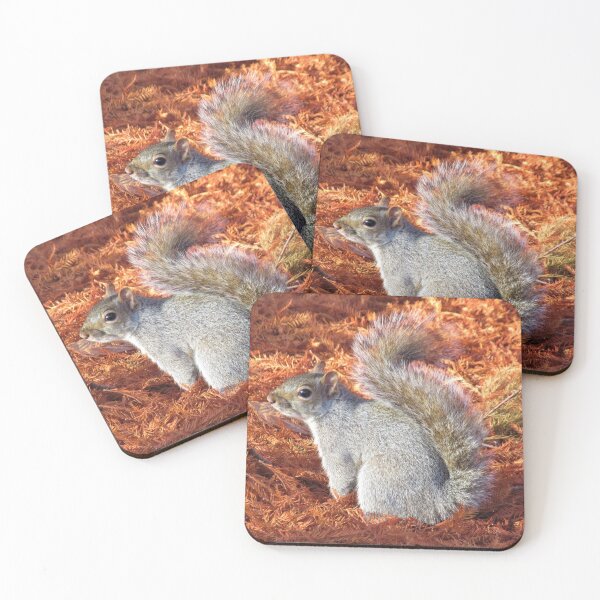 Item preview, THE COLOURS OF AUTUMN 1 designed and sold by NatureWatch10.
