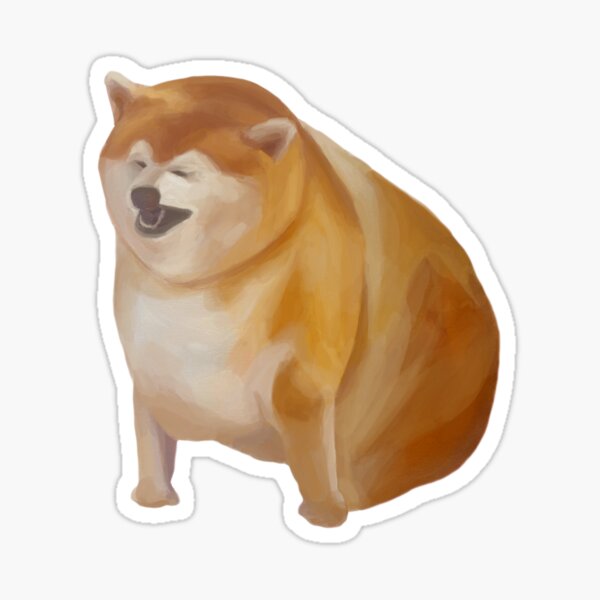 Fat store shiba dog