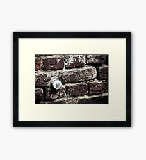 HP Framed Print
