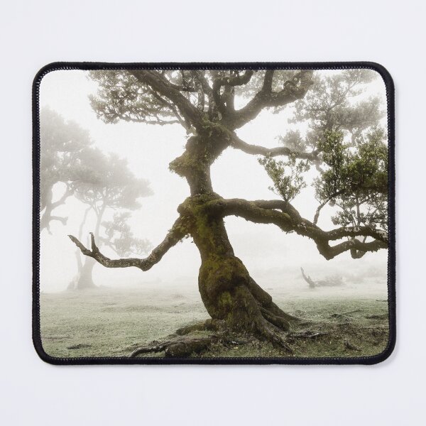 Item preview, Fanal forest 01 designed and sold by Weston  Westmoreland.