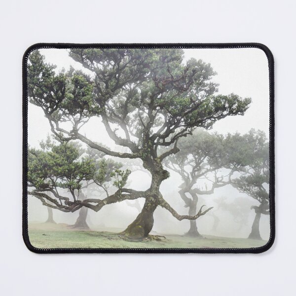 Item preview, Fanal forest 02 designed and sold by Weston  Westmoreland.