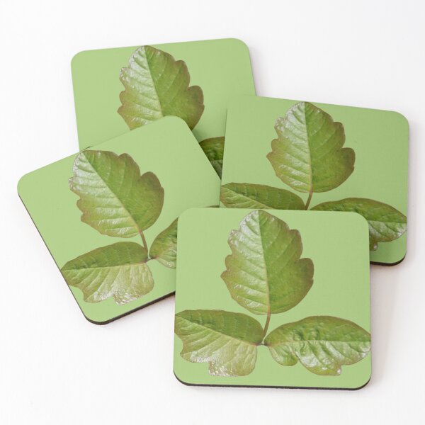 Item preview, Poison Oak - real botanical picture of poison oak leaves - Cosplay | Ivy Pattern | Green Ivy  designed and sold by EveryDayDabble.