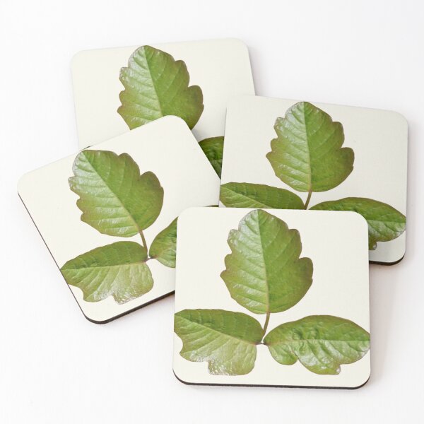 Item preview, Poison Oak - real botanical picture of poison oak leaves - Cosplay | Ivy Pattern | Green Ivy  designed and sold by EveryDayDabble.