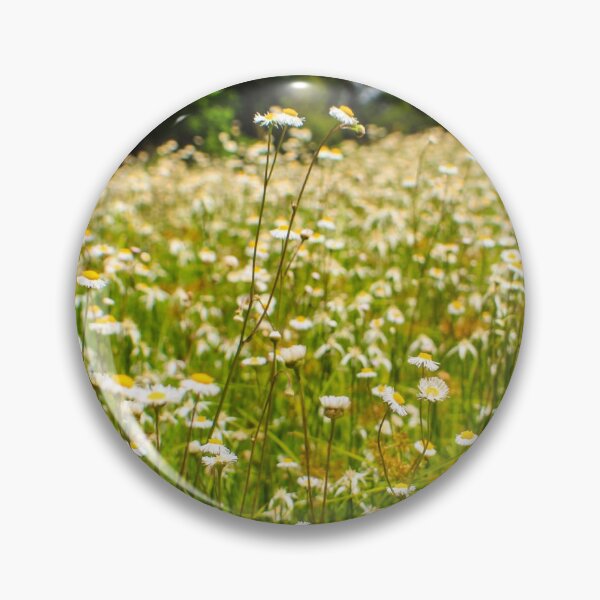 Item preview, Southern Fleabane designed and sold by poeticnautilus.