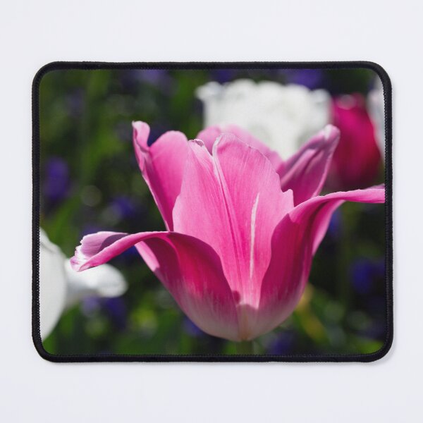 Item preview, Nature shot designed and sold by FrogsandStars.