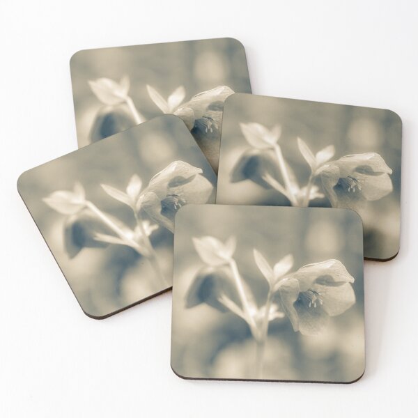 Item preview,  Helleborus Orientalis designed and sold by Tanya C  Smith.