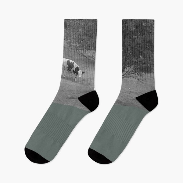 Item preview, 2016 Mucca al pascolo designed and sold by robertoferrero.