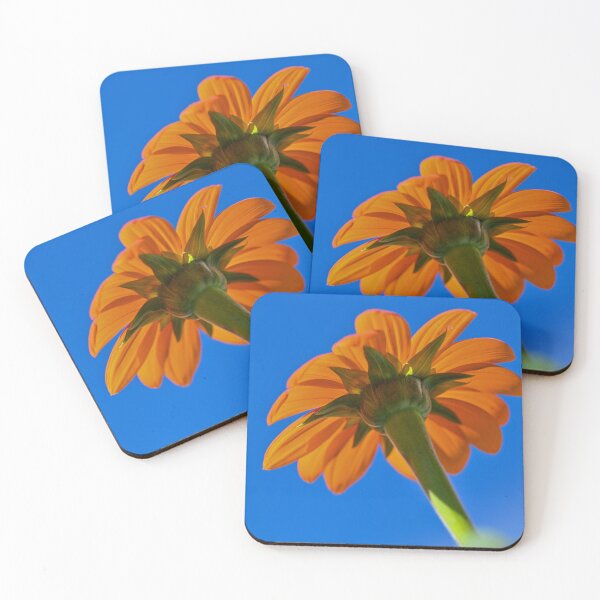 Item preview, Low angle view of Mexican Sunflower  designed and sold by Cblifeisgood.