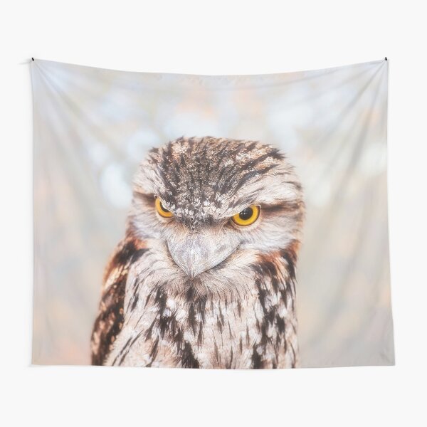 Tawny Frogmouth, Native Animal Rescue Tapestry