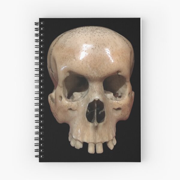 Item preview, SKULL CARVING 01 designed and sold by phigment-art.