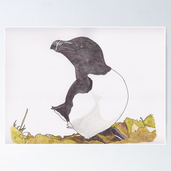 Item preview, Atlantic Razorbill designed and sold by Dayanna Knight.