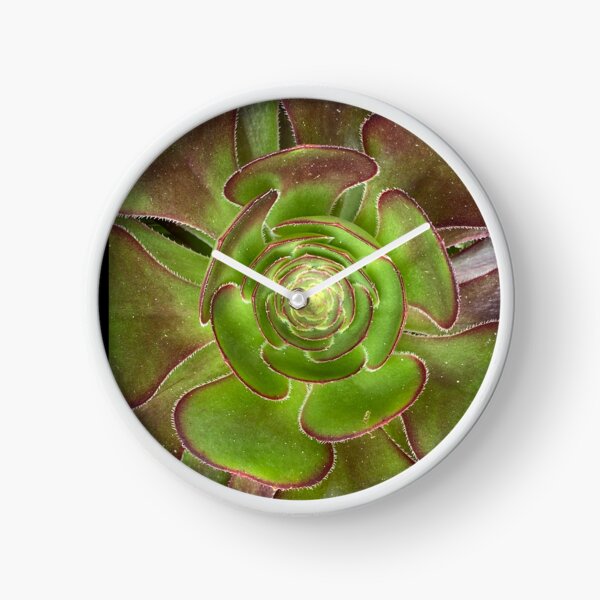 My Dirty Succulent Clock