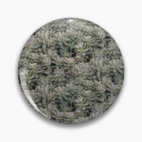 Item preview, Satisfied Succulent designed and sold by AmazedGrace.