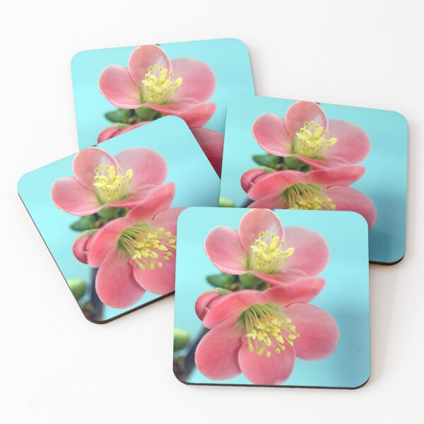 Item preview, Pink Quince Flower designed and sold by Kenziewenze.