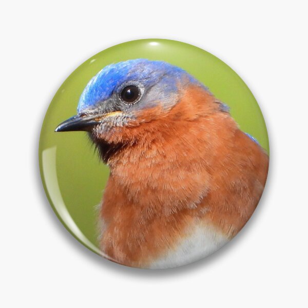 Item preview, Guarding the Nest designed and sold by Barnbk02.
