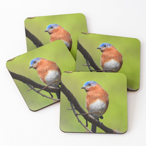 Item preview, Guarding the Nest designed and sold by Barnbk02.