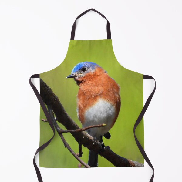 Item preview, Guarding the Nest designed and sold by Barnbk02.