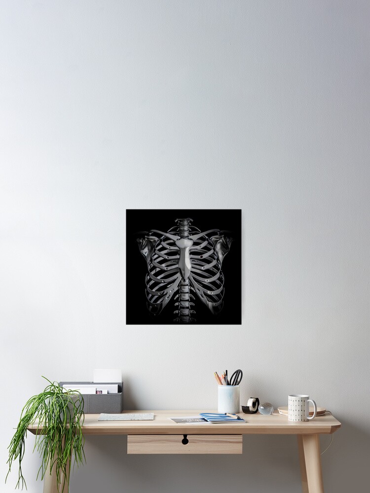 Chrome Heavy Metal Rib Cage Skeleton With Small Heart Poster