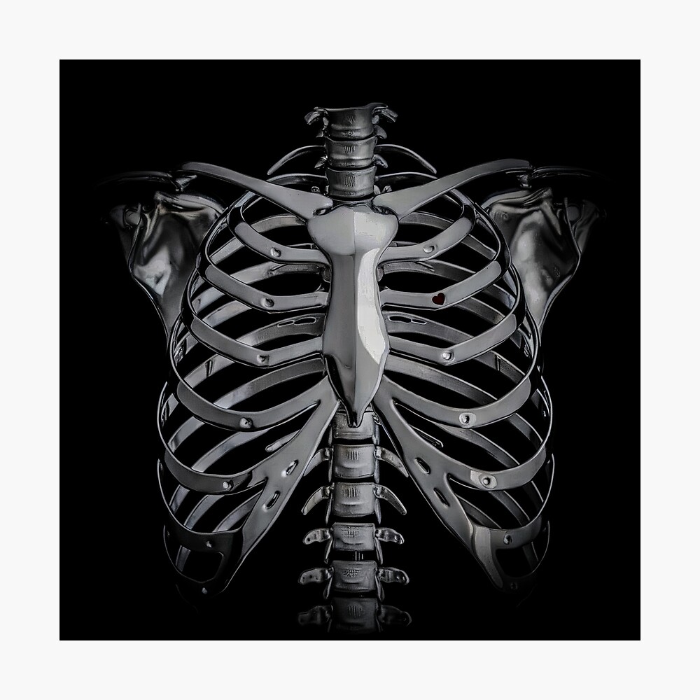 Chrome Heavy Metal Rib Cage Skeleton With Small Heart Poster