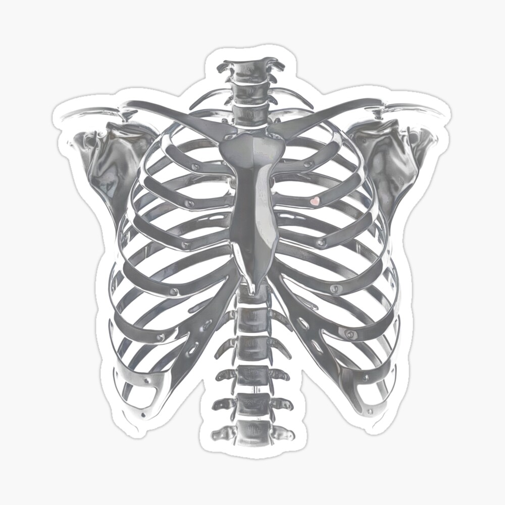 Chrome Heavy Metal Rib Cage Skeleton With Small Heart Poster