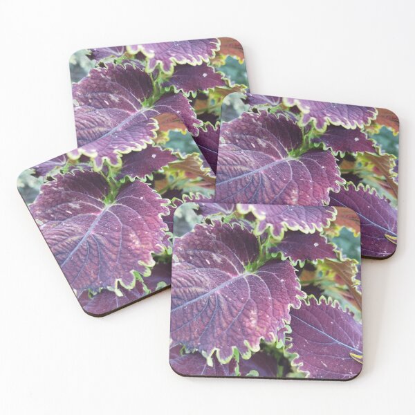 Item preview, Natural Beauty designed and sold by Dreammkd.