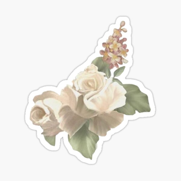 shawn mendes youth block hoodie