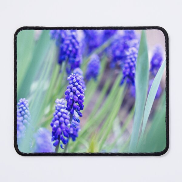 Item preview, Grape Hyacinth designed and sold by Kenziewenze.