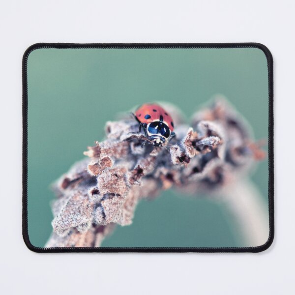 Item preview, Ladybug designed and sold by Kenziewenze.