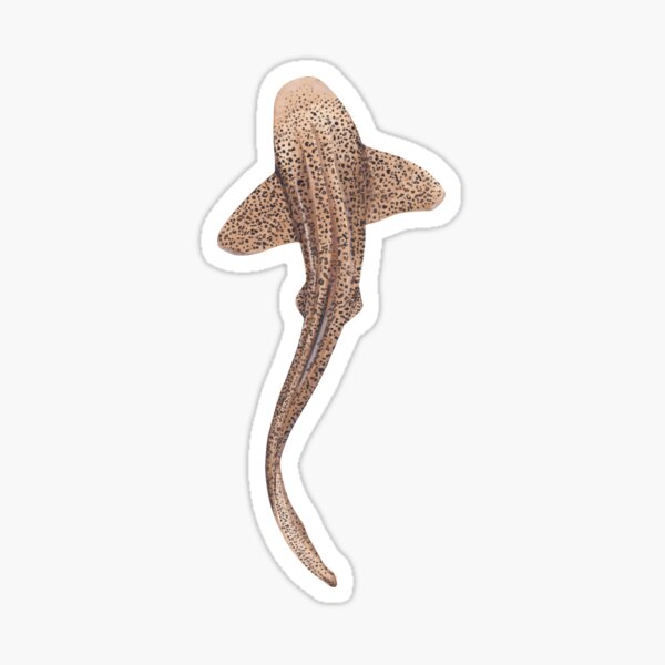 Item preview, ZEBRA/LEOPARD SHARK -stegostoma fasciatum (mint green) designed and sold by BEATRIZ ABAITUA.