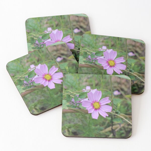 Item preview, Garden Cosmos  designed and sold by McFleur's Lens.