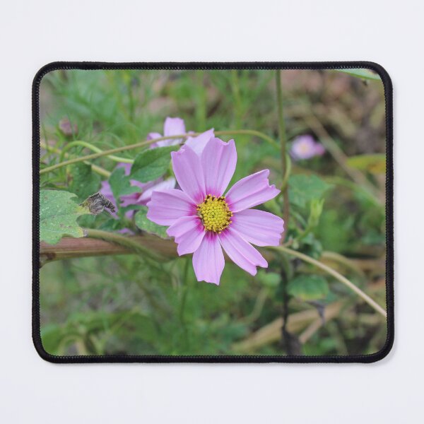 Item preview, Garden Cosmos  designed and sold by McFleur's Lens.