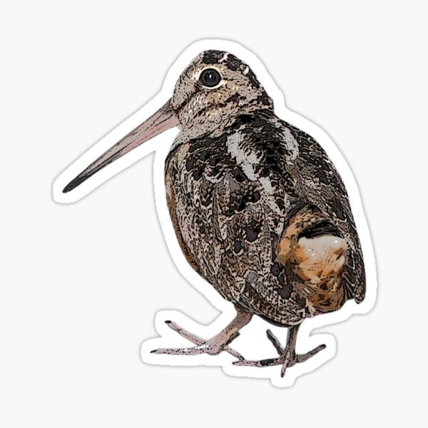 Item preview, American Woodcock Timberdoodle Color Design  designed and sold by designsasstultd.