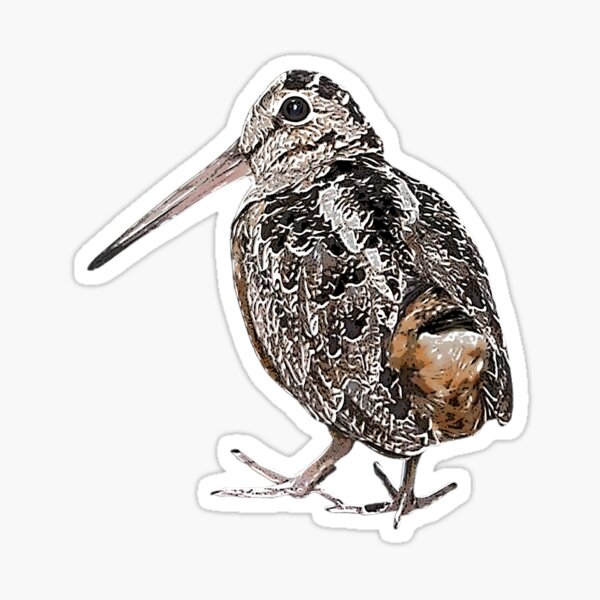 Item preview, American Woodcock Timberdoodle White Alternate Design  designed and sold by designsasstultd.