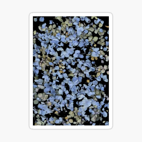Hydrangea Snowfall 3 Dark Floral Sticker
