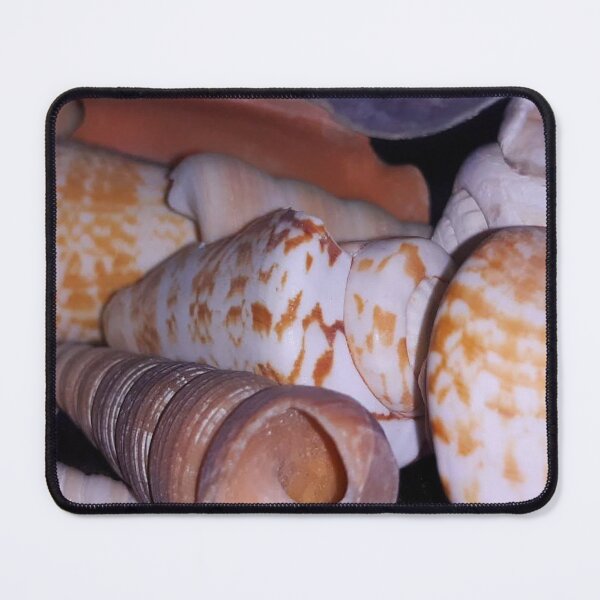 Item preview, Close up the sea shells designed and sold by InezPhotography.