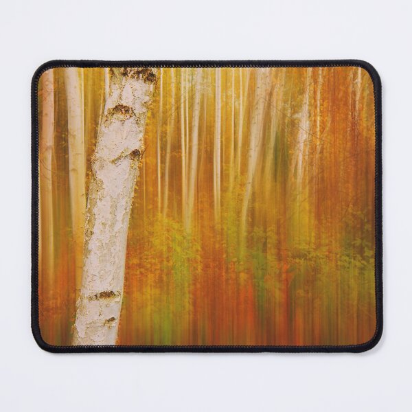 Item preview, Birch Forest In Autumn designed and sold by Mr-Tshirts.