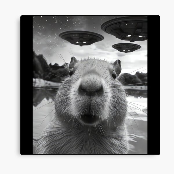 Artikel-Vorschau von Lustiges grafisches Capybara-Selfie mit seltsamem UFO-Design, designt und verkauft von DigitalNew.