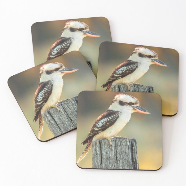 Item preview, Laughing Kookaburra designed and sold by robdwildlife.