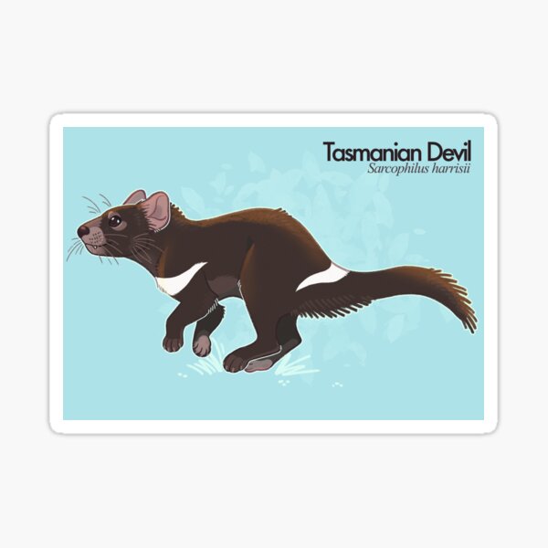 Vista previa del artículo con la obra «Tasmanian Devil», diseñado y vendido por wallabytea.