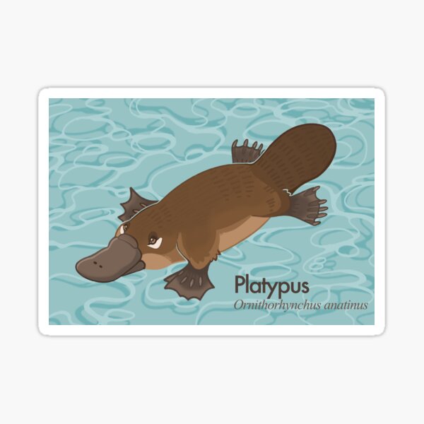 Vista previa del artículo con la obra «Platypus», diseñado y vendido por wallabytea.