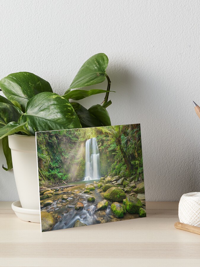 Thumbnail 1 of 2, Art Board Print, Beauchamp Falls, Otway National Park, Victoria, Australia designed and sold by Chockstone.