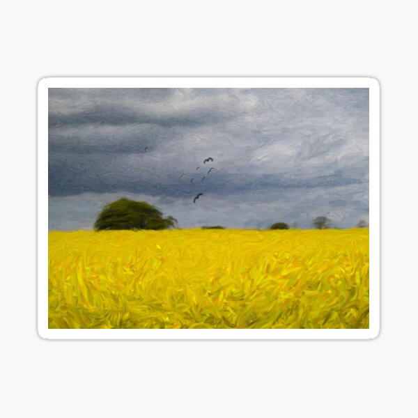 Rapeseed Fields - Impressionist - Oil Painting Effect Sticker
