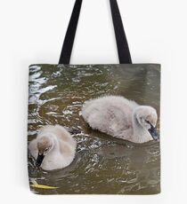 Two cygnets Tote Bag