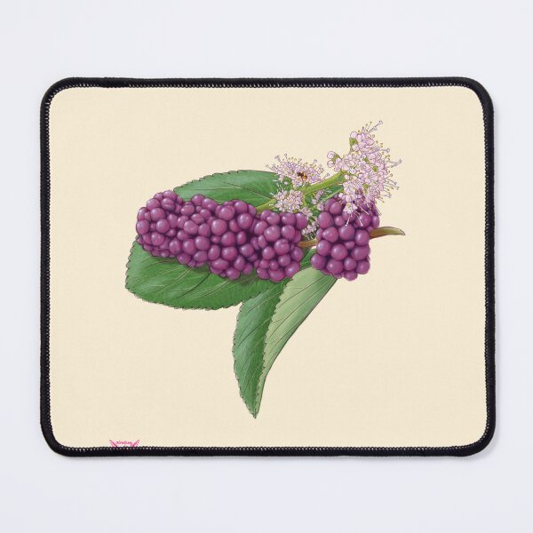 Item preview, beautyberry designed and sold by Abitlyon.