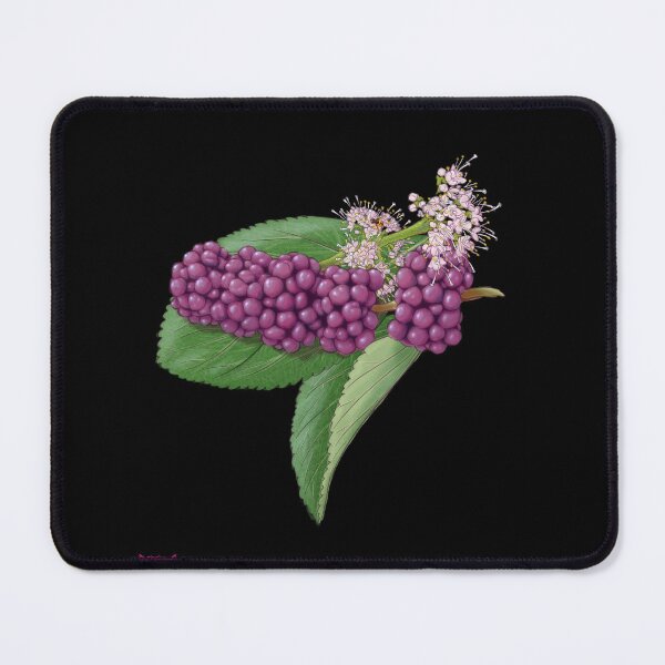 Item preview, beautyberry designed and sold by Abitlyon.